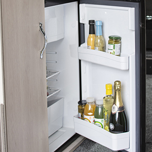 Efficient Fridge